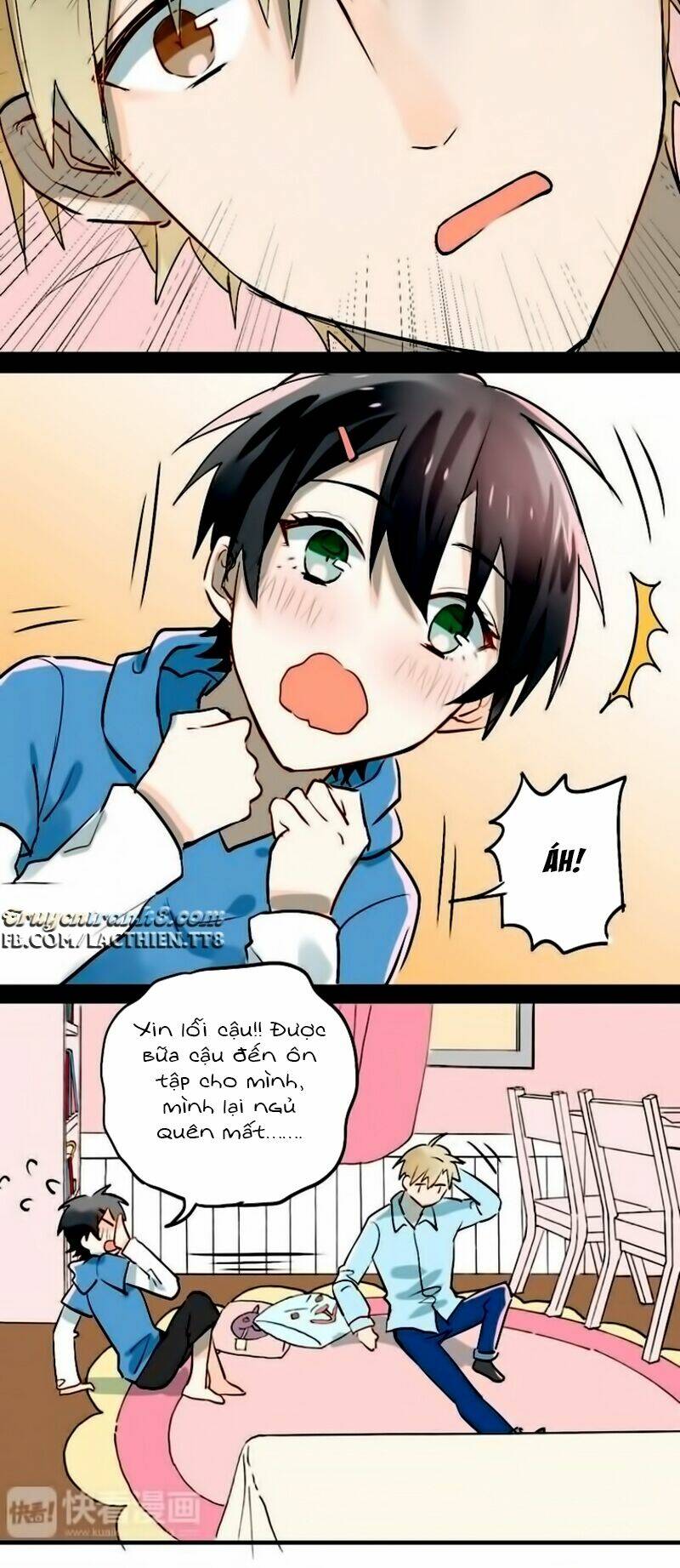 Đầu Gấu Biết Yêu: Chapter 16