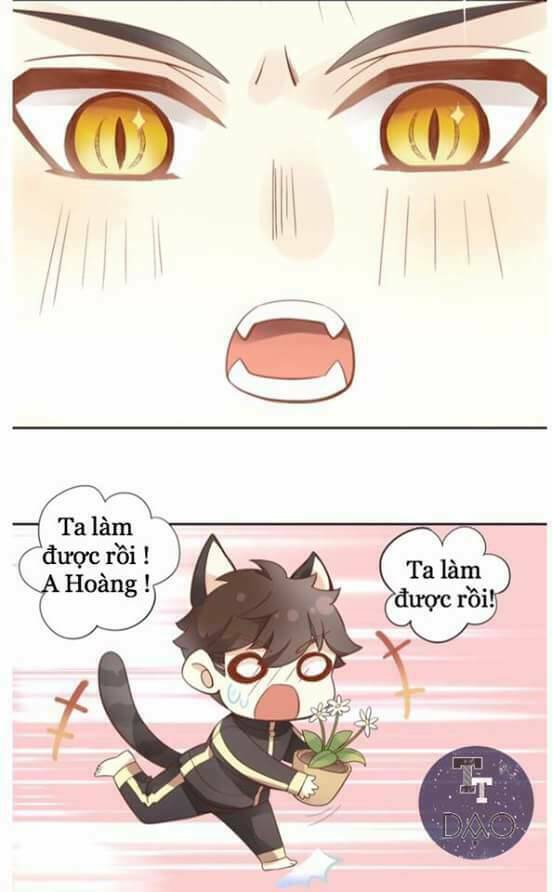 Dưới Móng Vuốt Mèo: Chapter 2