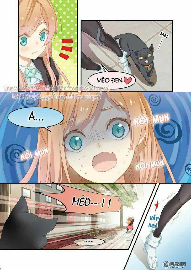 Xin Chào! Coffee Cat's: Chapter 1