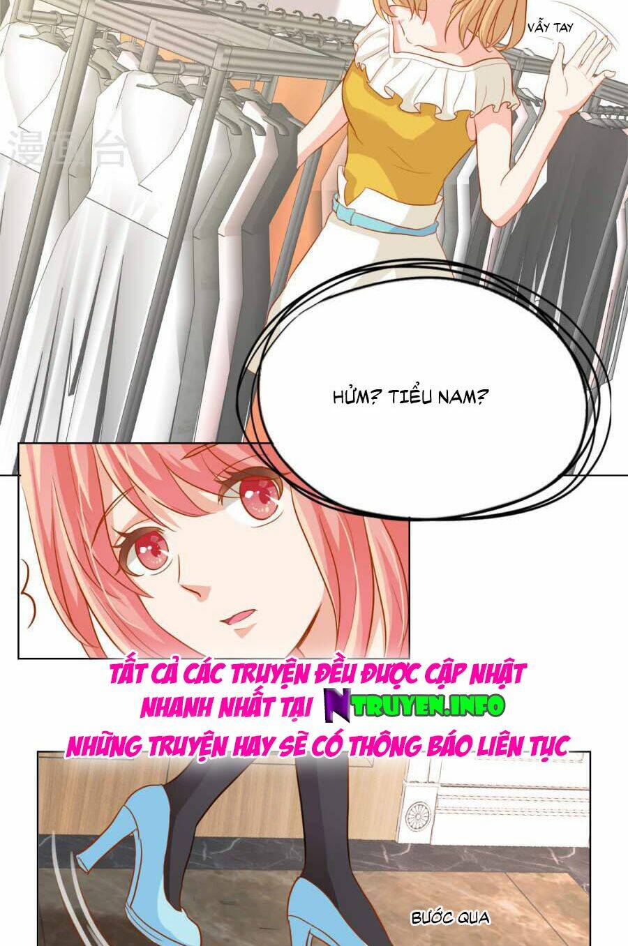 Đào Sắc Tinh Quang: Chapter 17