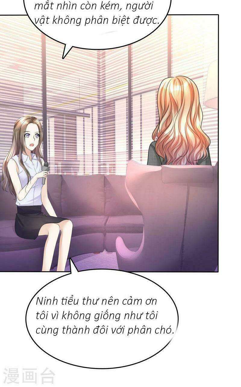 Con Đường Phản Công Của Sủng Thê: Chapter 20: Tình địch gặp mặt