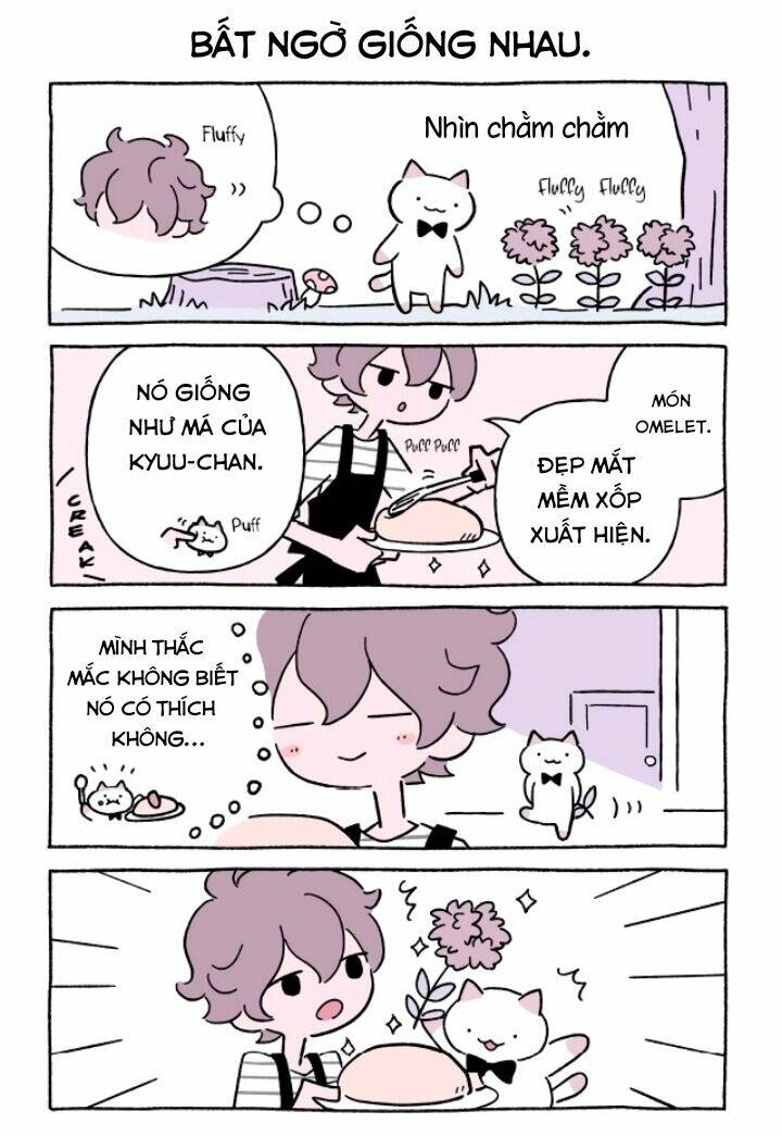 Chú Mèo Kỳ Diệu Kyuu-Chan: Chapter 639