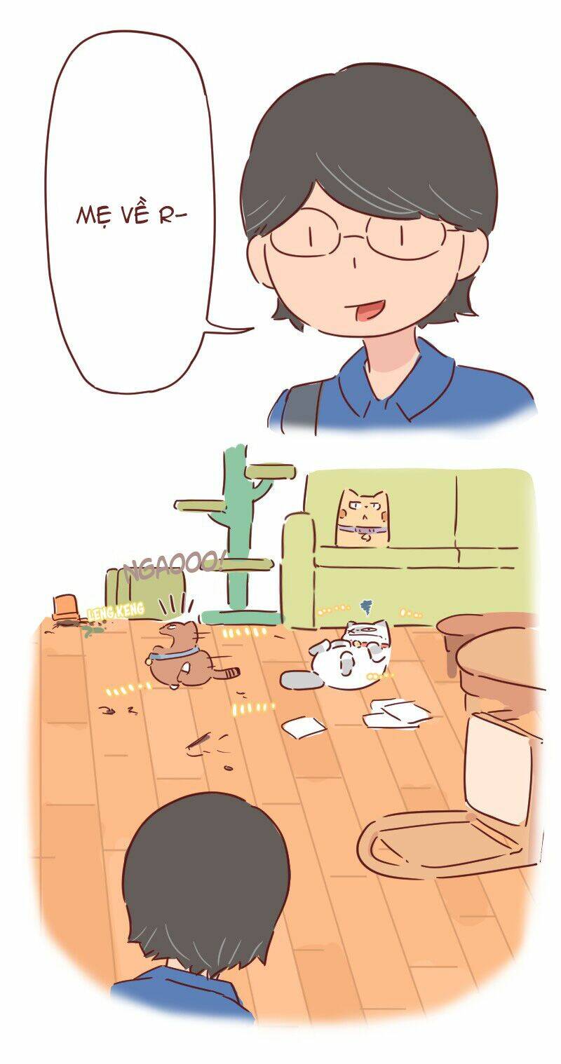 Saphie: Chú mèo một mắt: Chapter 28