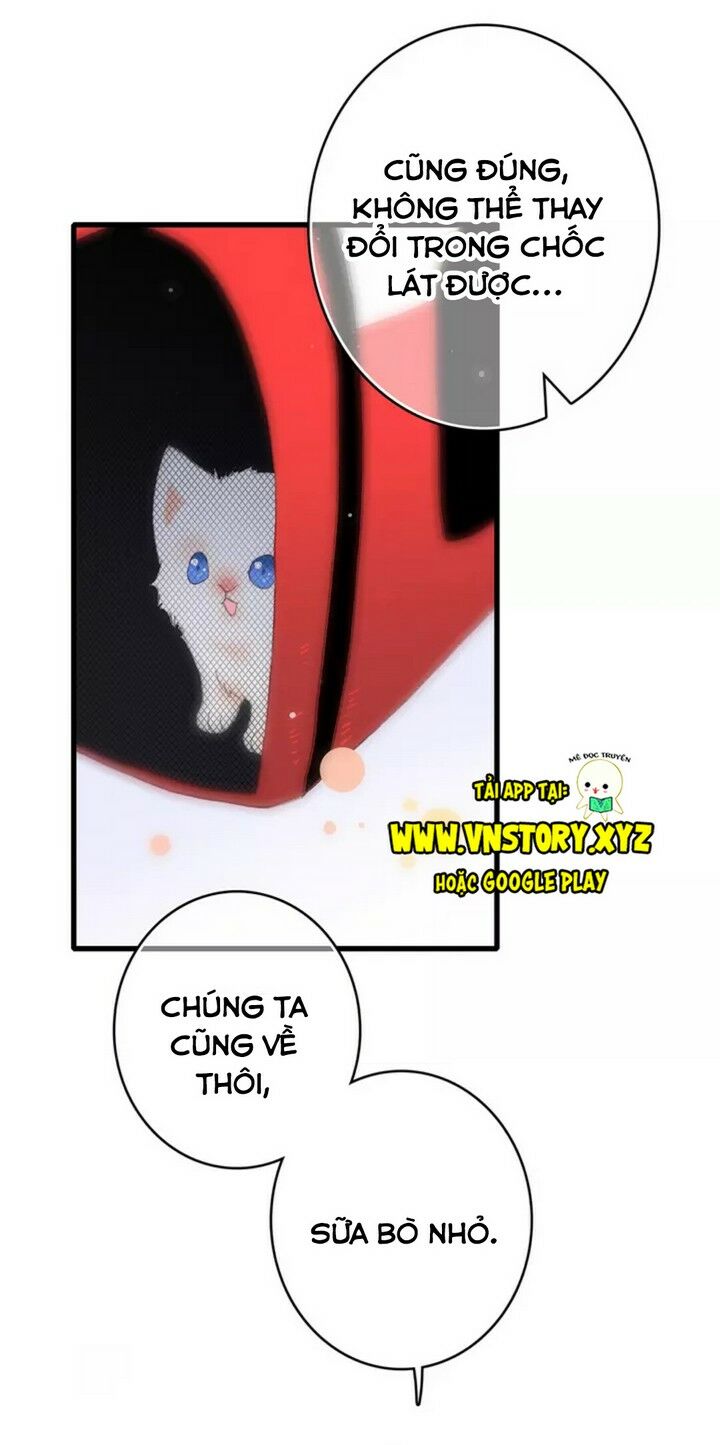 Con Tim Rung Động: Chapter 52