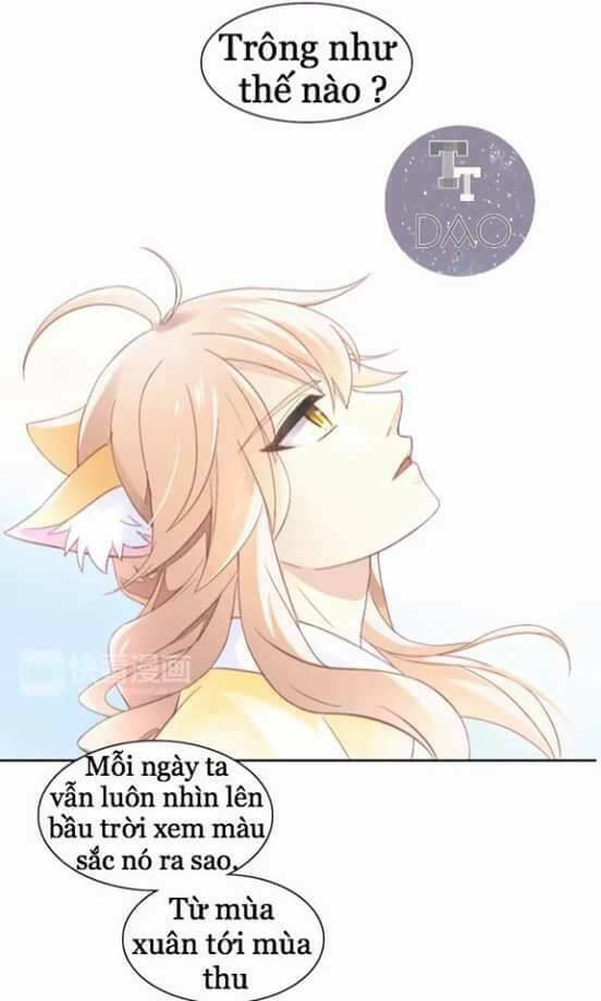 Dưới Móng Vuốt Mèo: Chapter 7