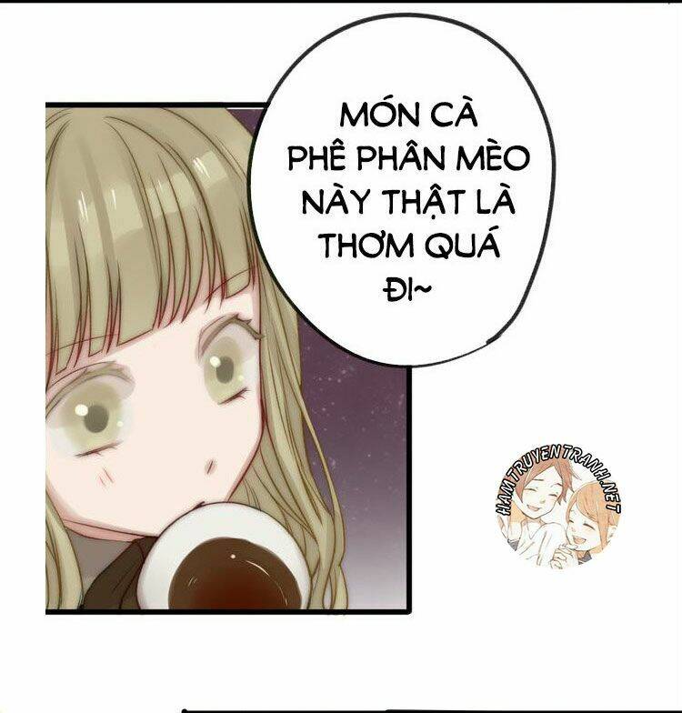 Viện Bảo Tàng Tâm Nguyện: Chapter 8.1