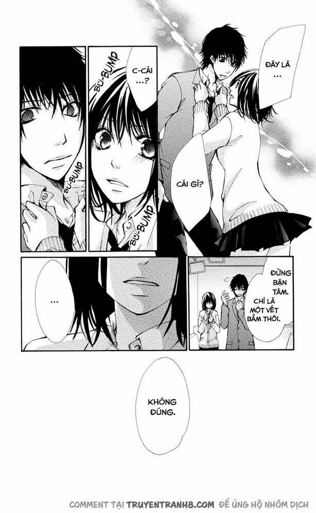 Tình Yêu Và Nỗi Đau Tột Cùng: Chapter 12