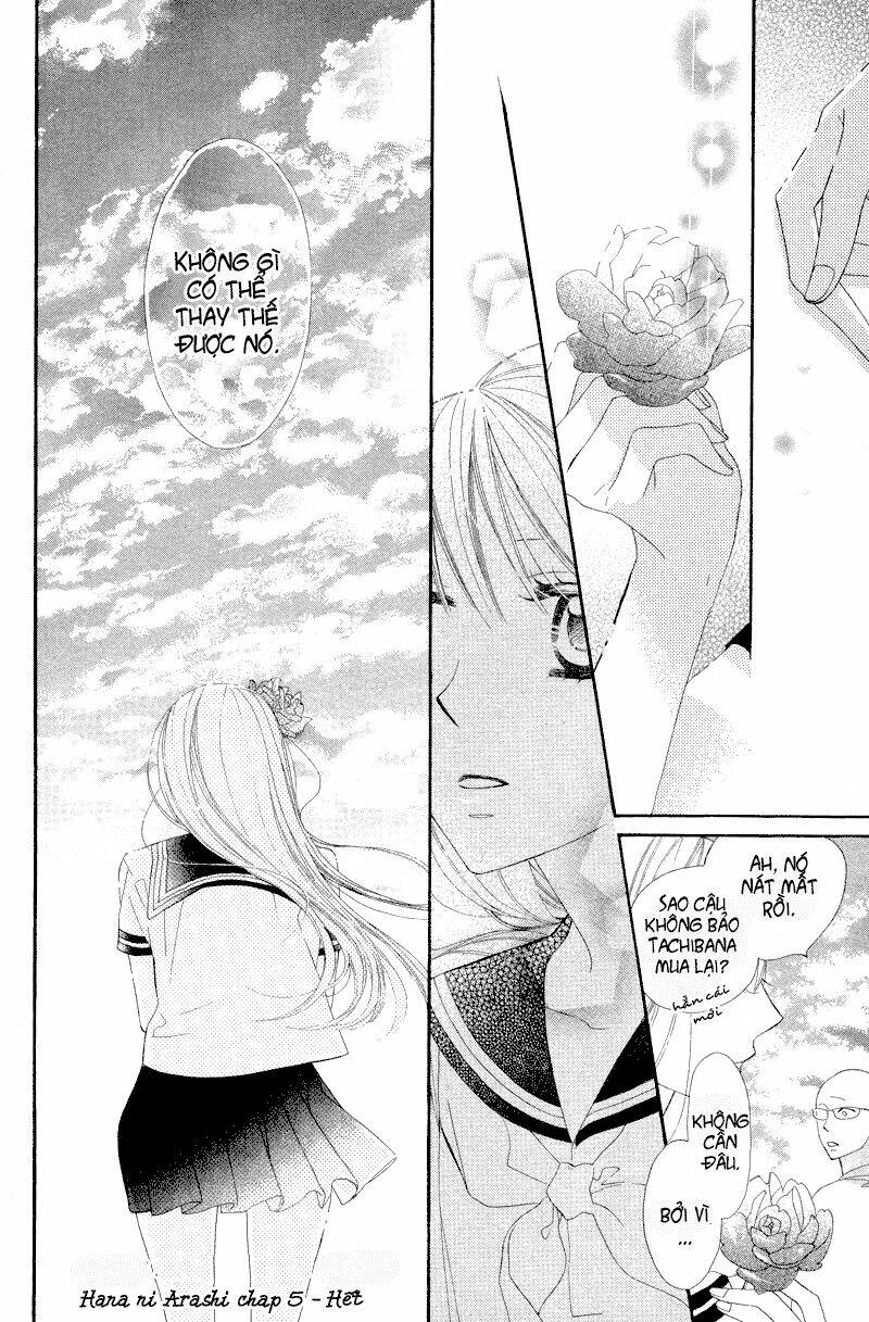 Hoa Trong Bão: Chapter 5