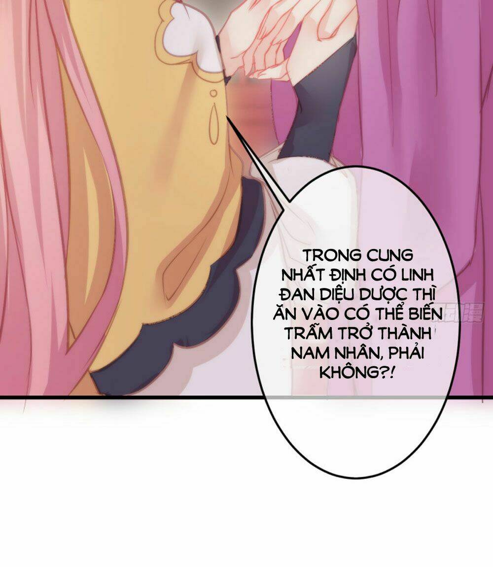 Trẫm Quyết Định Giải Tán Hậu Cung: Chapter 7