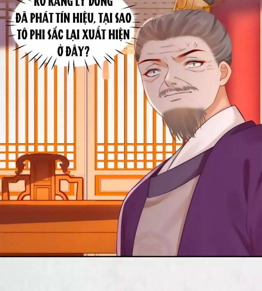 Hoạn Phi Hoàn Triều: Chapter 48