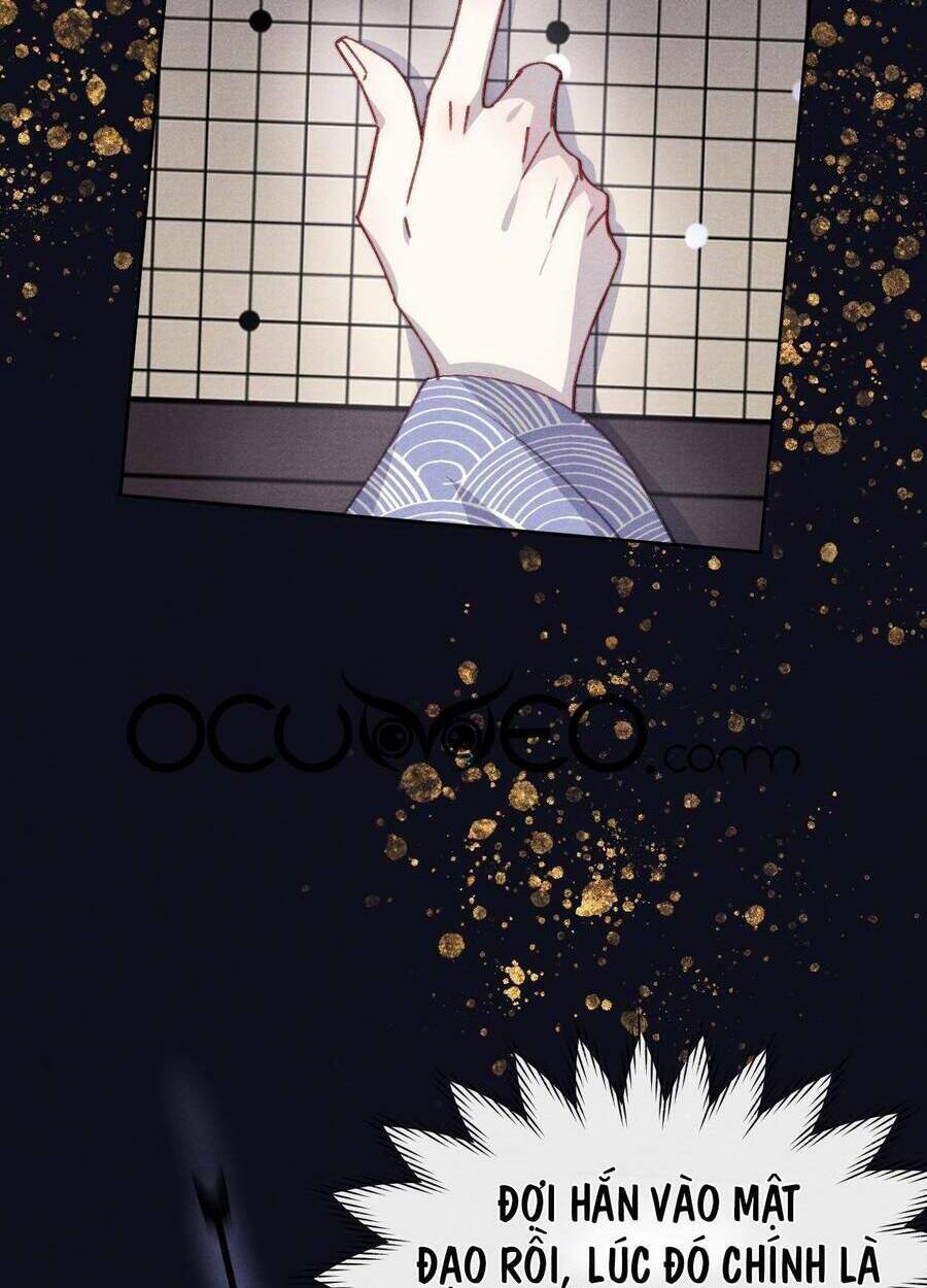 Quân Nhan Tựa Hoa Đào: Chapter 41