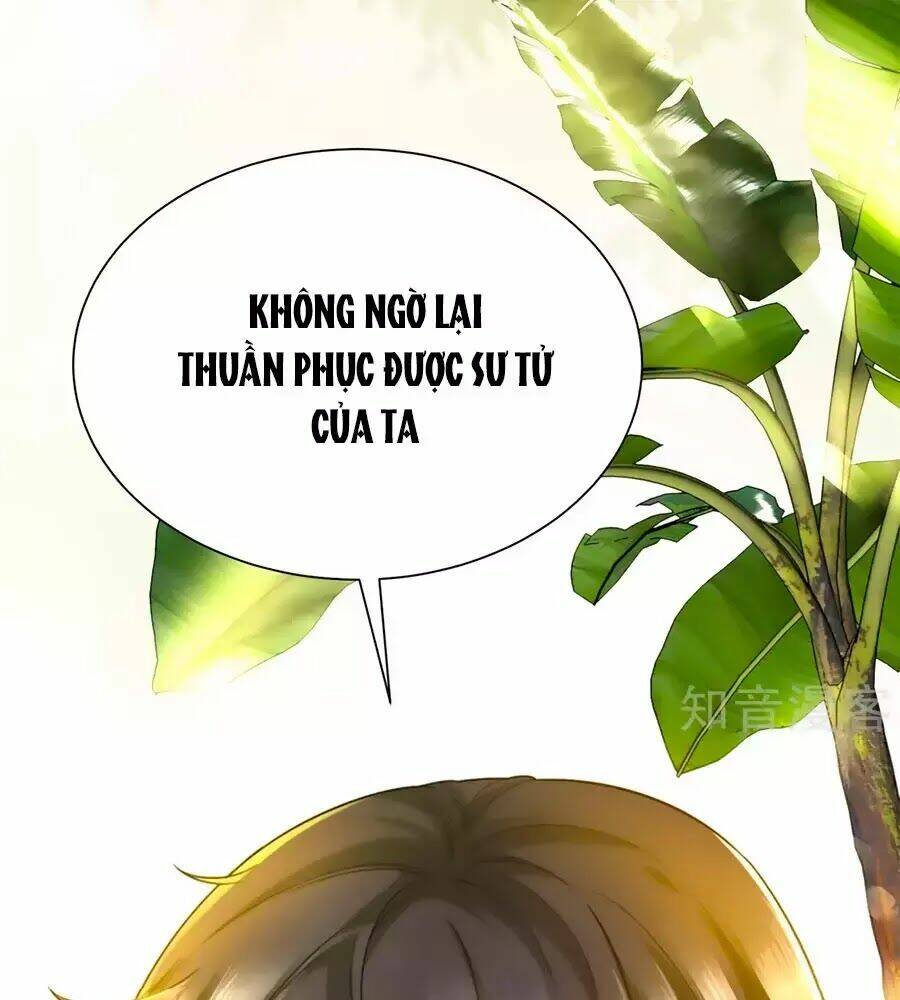 Sủng Hậu Của Vương: Chapter 0