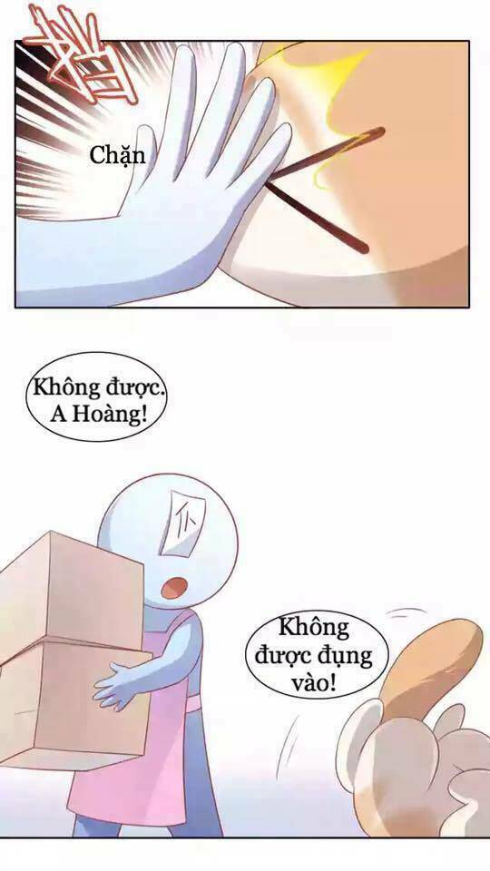 Dưới Móng Vuốt Mèo: Chapter 12