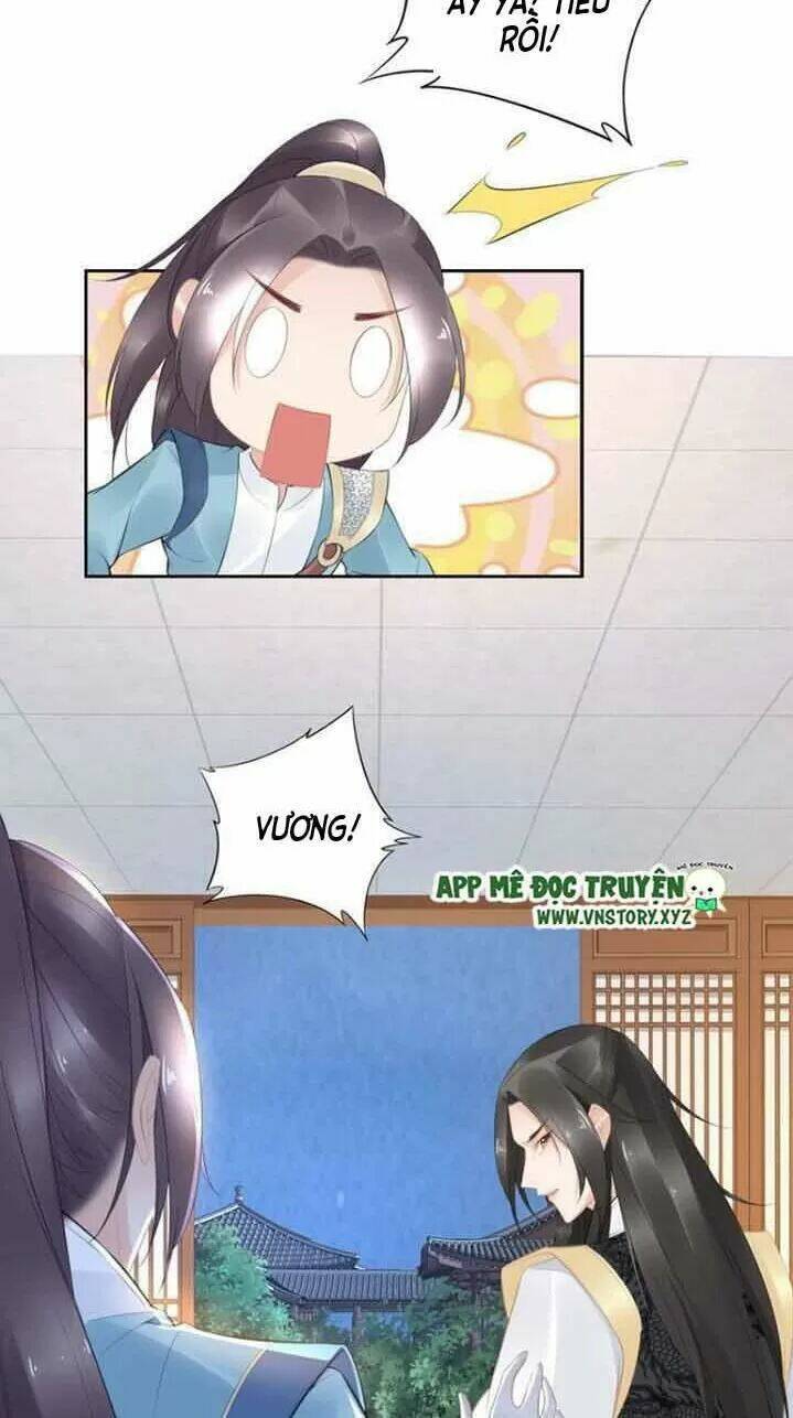 Nhất Sinh Nhất Thế Tiếu Thương Khung: Chapter 61