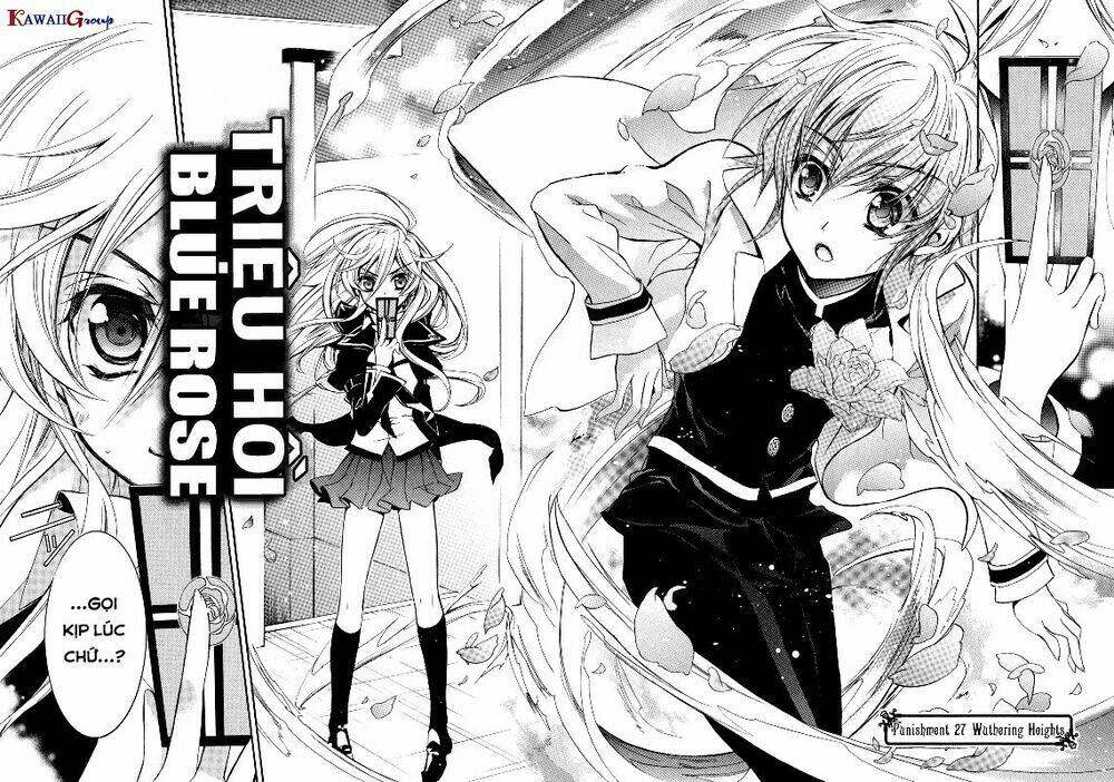 Nụ Hôn Của Công Chúa Tường Vi: Chapter 27