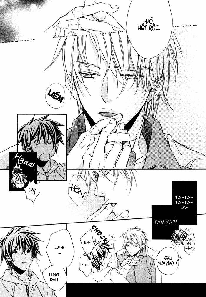 Chuyện Tình Của Toono Và Tamiya: Chapter 7