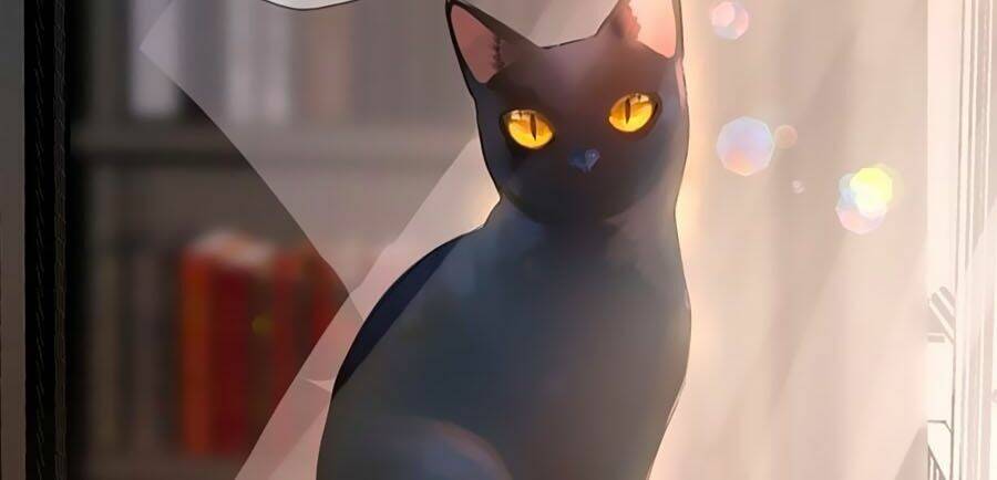 Quang Chi Vũ: Chapter 2.2