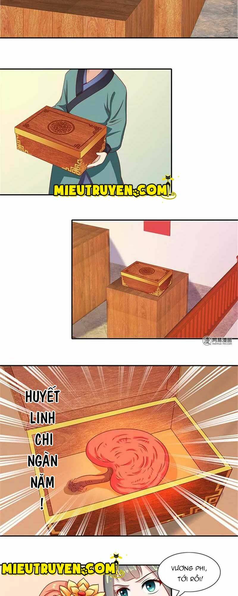 Tận Diệt Vương Gia Mãn Triều: Chapter 43