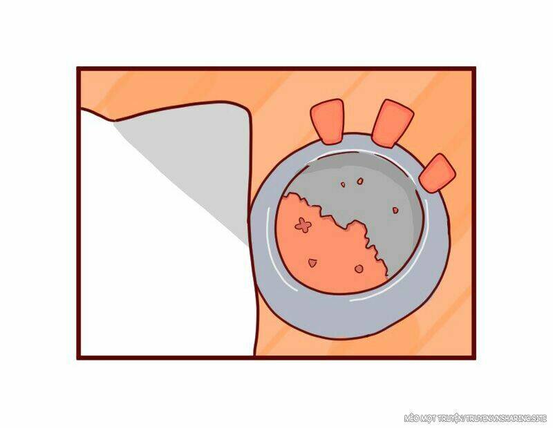 Saphie: Chú mèo một mắt: Chapter 8