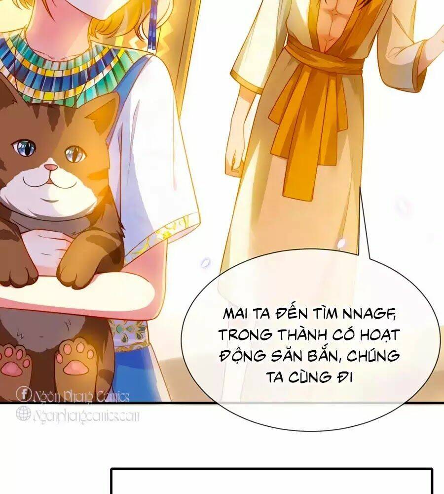 Sủng Hậu Của Vương: Chapter 6