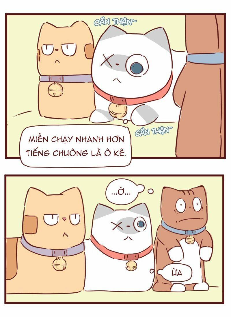 Saphie: Chú mèo một mắt: Chapter 28