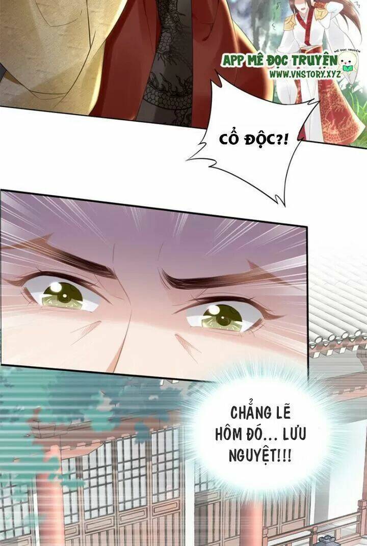 Nhất Sinh Nhất Thế Tiếu Thương Khung: Chapter 72