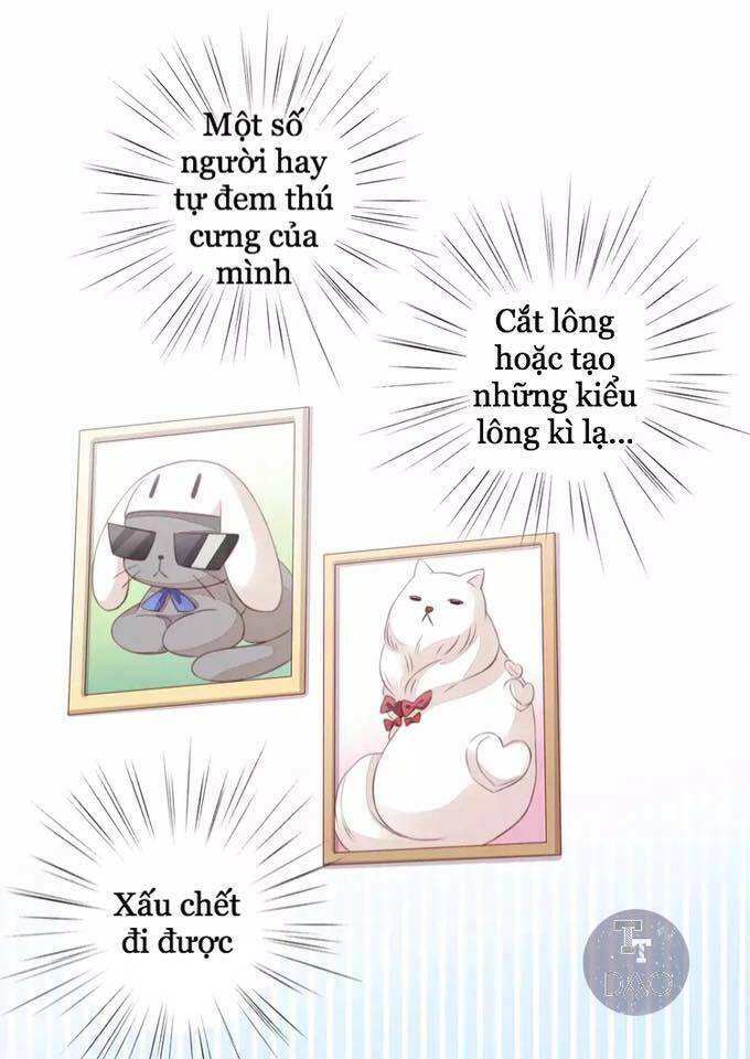Dưới Móng Vuốt Mèo: Chapter 17