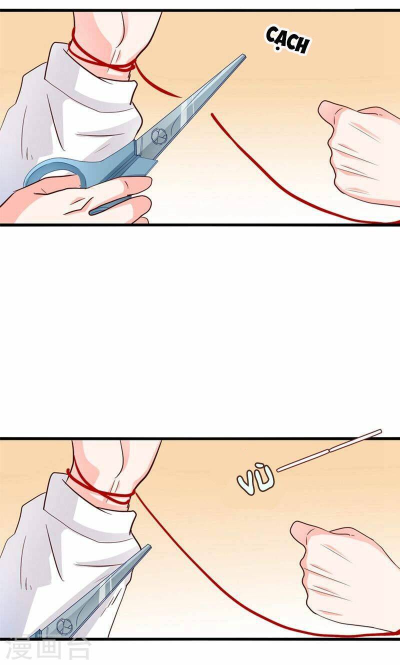 Tôi Bị Gấu Trúc Nhìn Trúng Rồi: Chapter 19