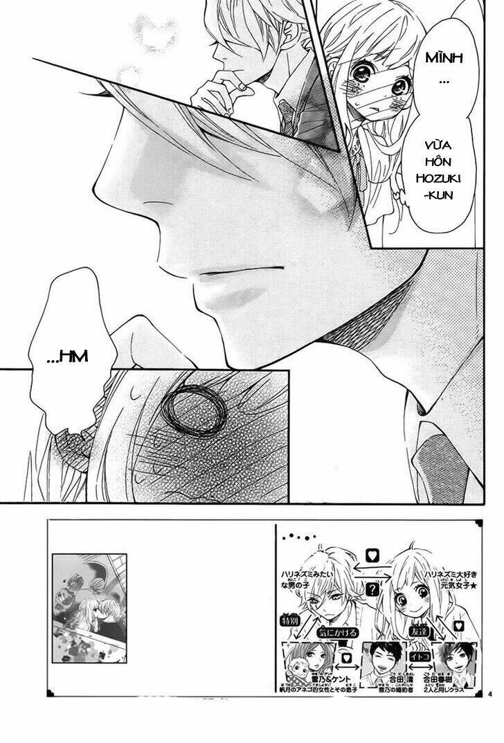 Koisuru Harinezumi: Chapter 11