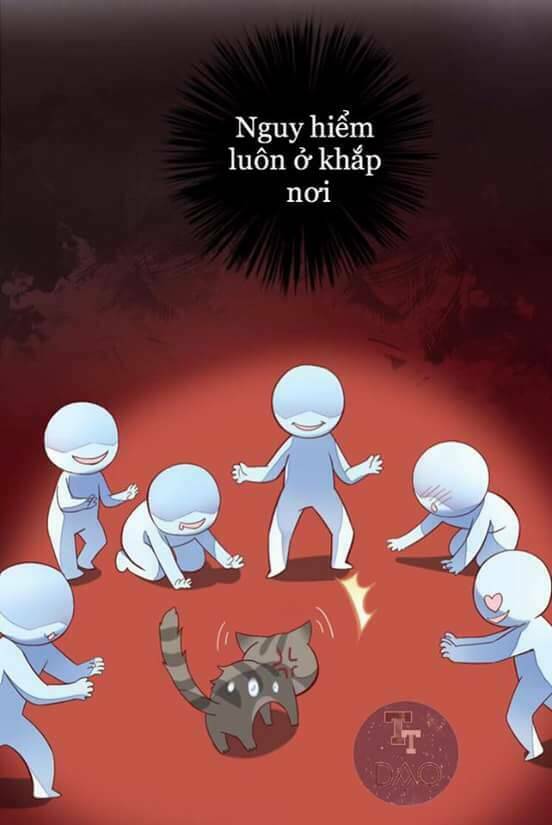 Dưới Móng Vuốt Mèo: Chapter 2