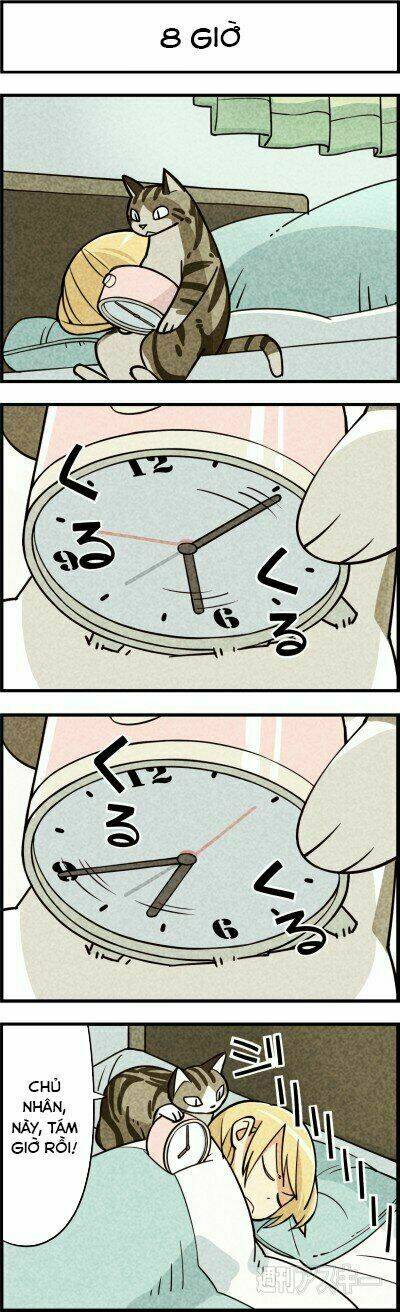 We Are Cat: Chapter 7