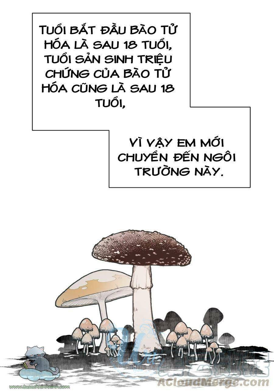 Nhật Ký Nấm Ma Cô: Chapter 8