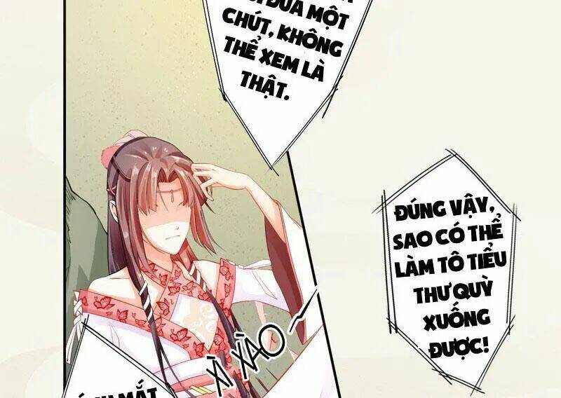 Tuyệt Thế Luyện Đan Sư: Chapter 7