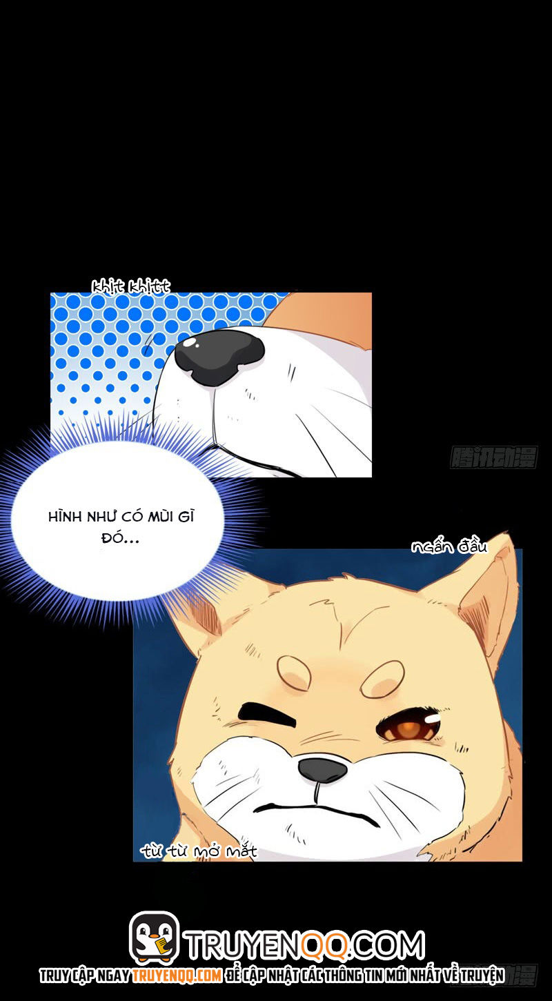 Lụ Đạn, Hôm Nay Lại Cũng Không Thể Biến Thành Người Được: Chapter 1