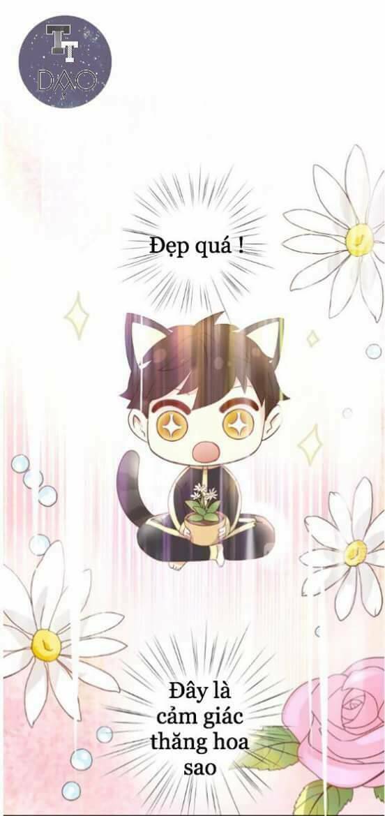 Dưới Móng Vuốt Mèo: Chapter 2