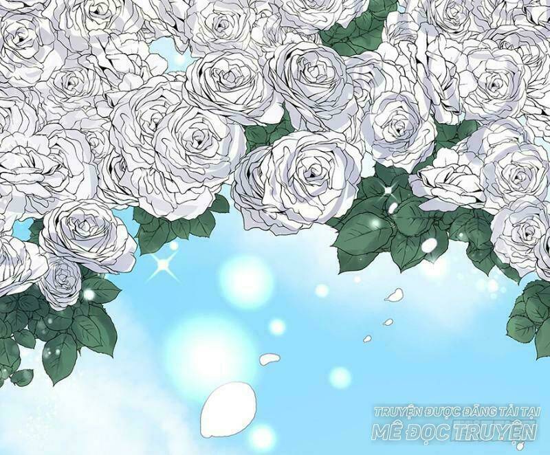 Chào Buổi Sáng, Ức Vạn Manh Thê: Chapter 11