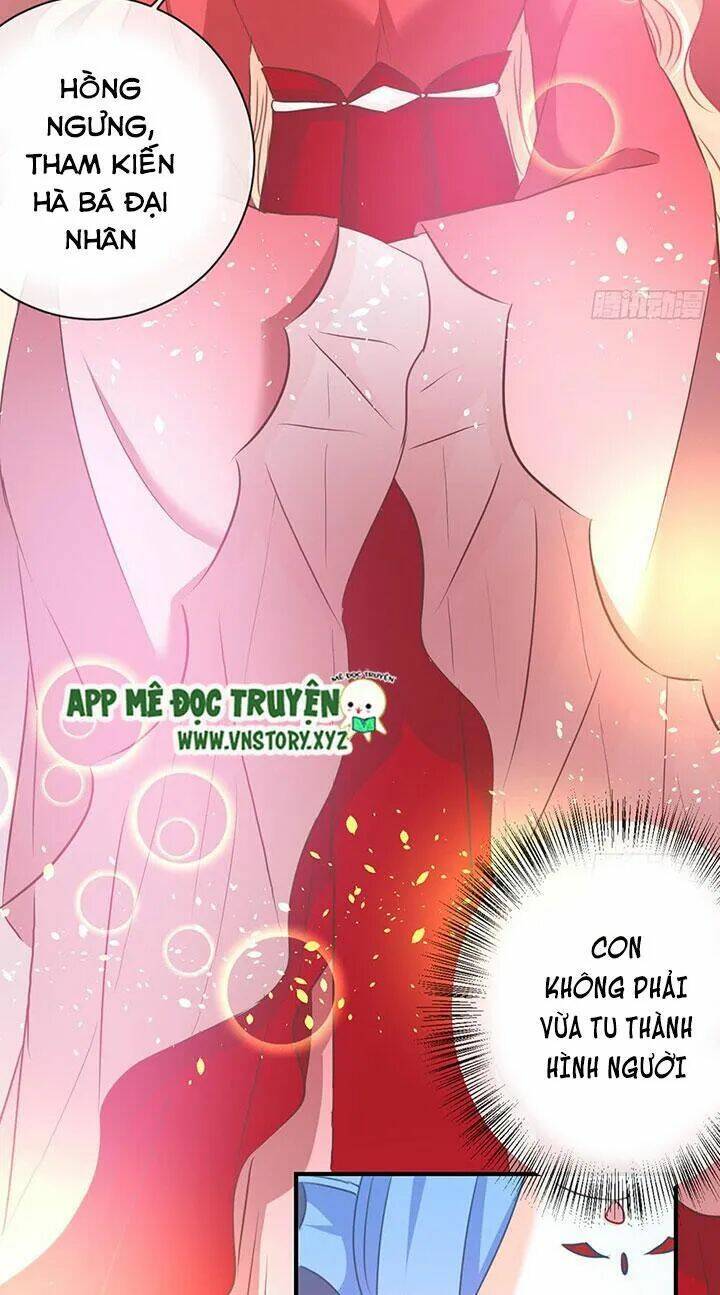 Cẩm Lý Thiếu Nữ Của Tôi: Chapter 67