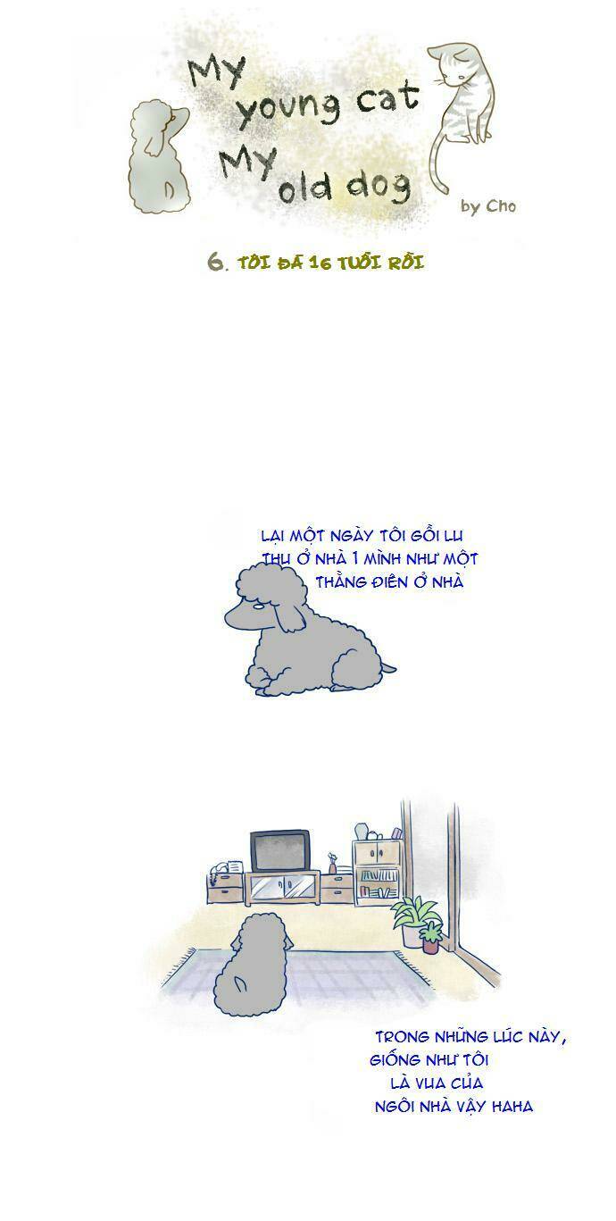 My Young Cat And My Old Dog: Chapter 3