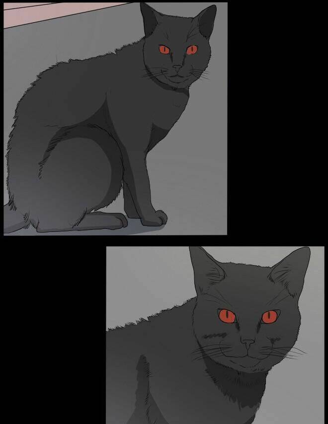 Future trial: Chapter 10