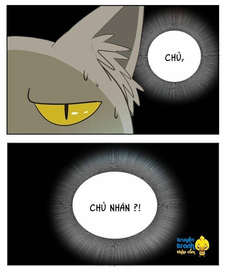Cứu Mạng! Loài Mèo Thống Trị Thế Giới Rồi!: Chapter 24