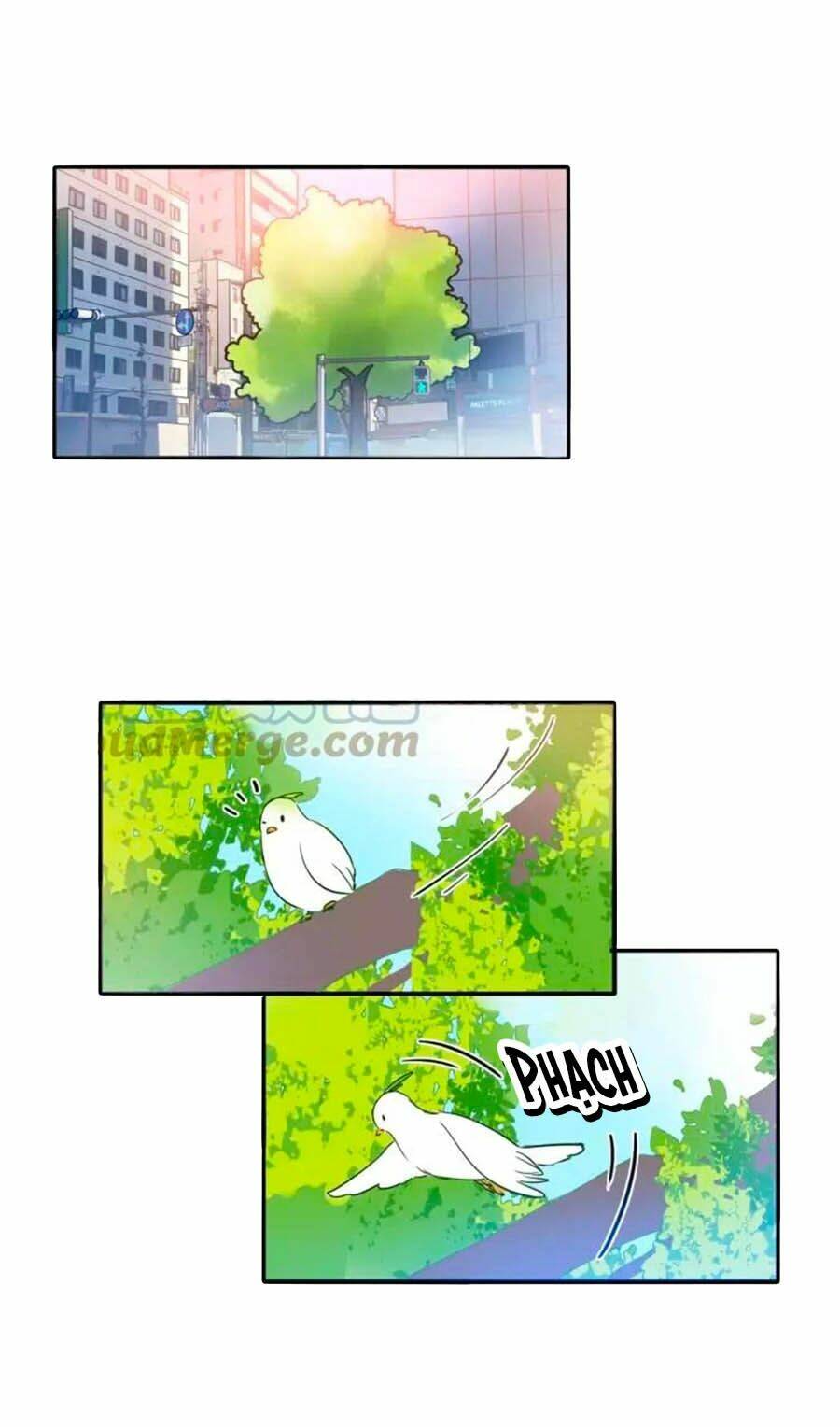 Mùi Hương Lãng Mạn: Chapter 53