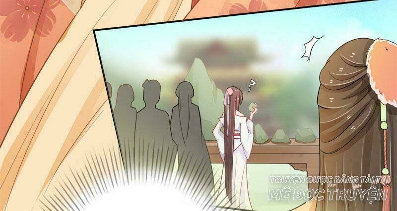 Tuyệt Thế Luyện Đan Sư: Chapter 6