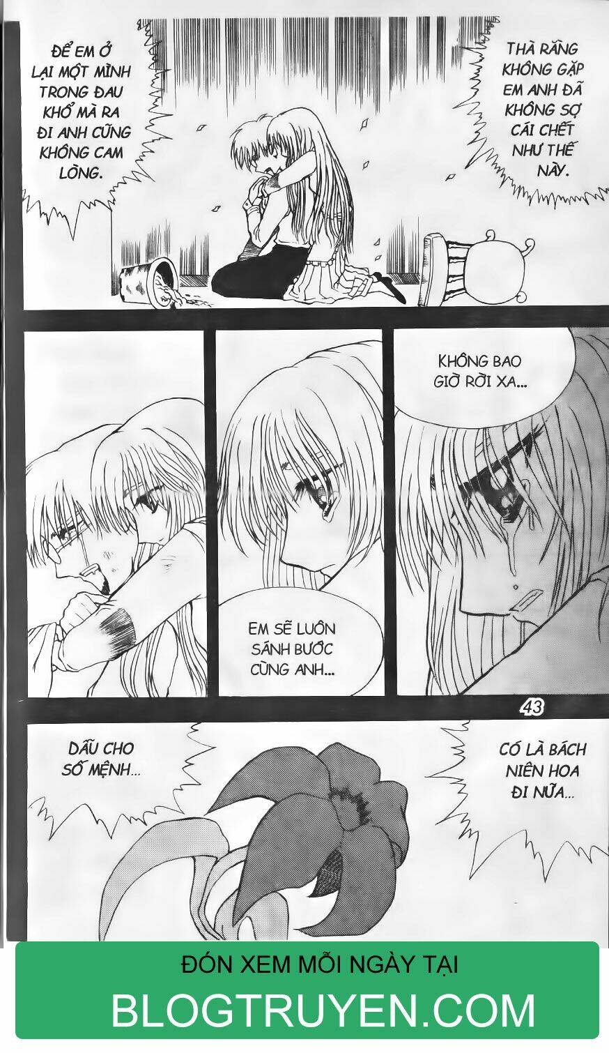 Shin Gumiho - Hội Pháp Sư: Chapter 12.1