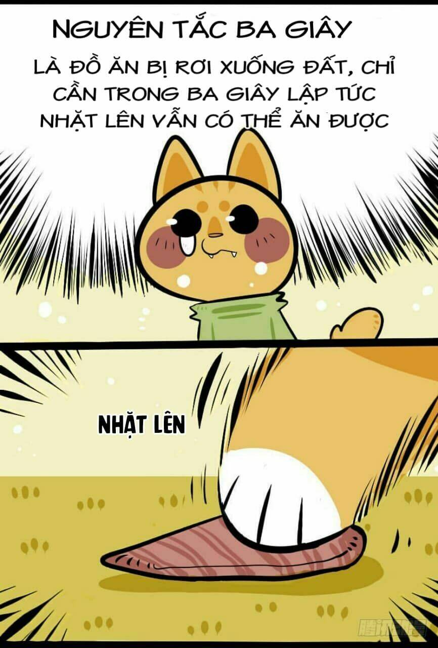 Đời Không Như Mình Tưởng: Chapter 3