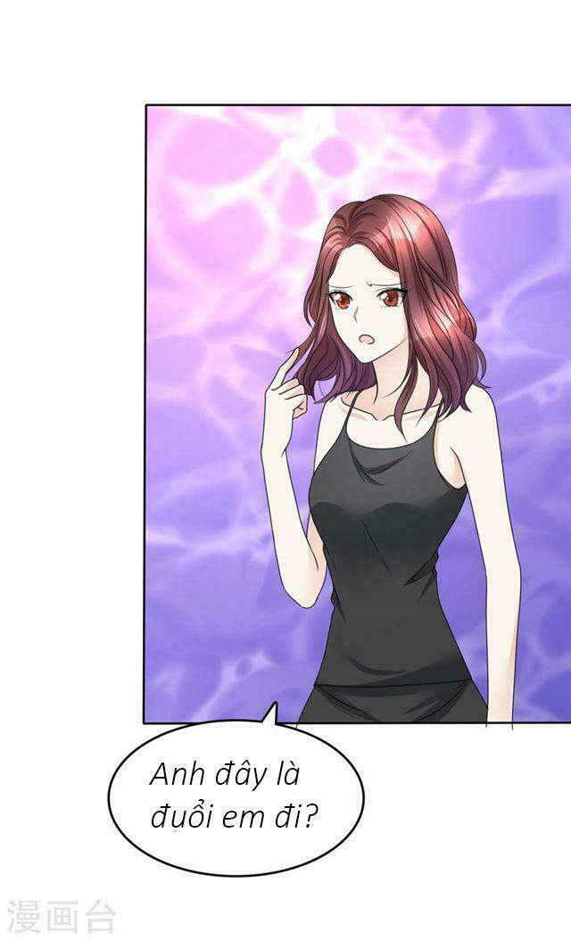 Con Đường Phản Công Của Sủng Thê: Chapter 31: 20% cổ phần