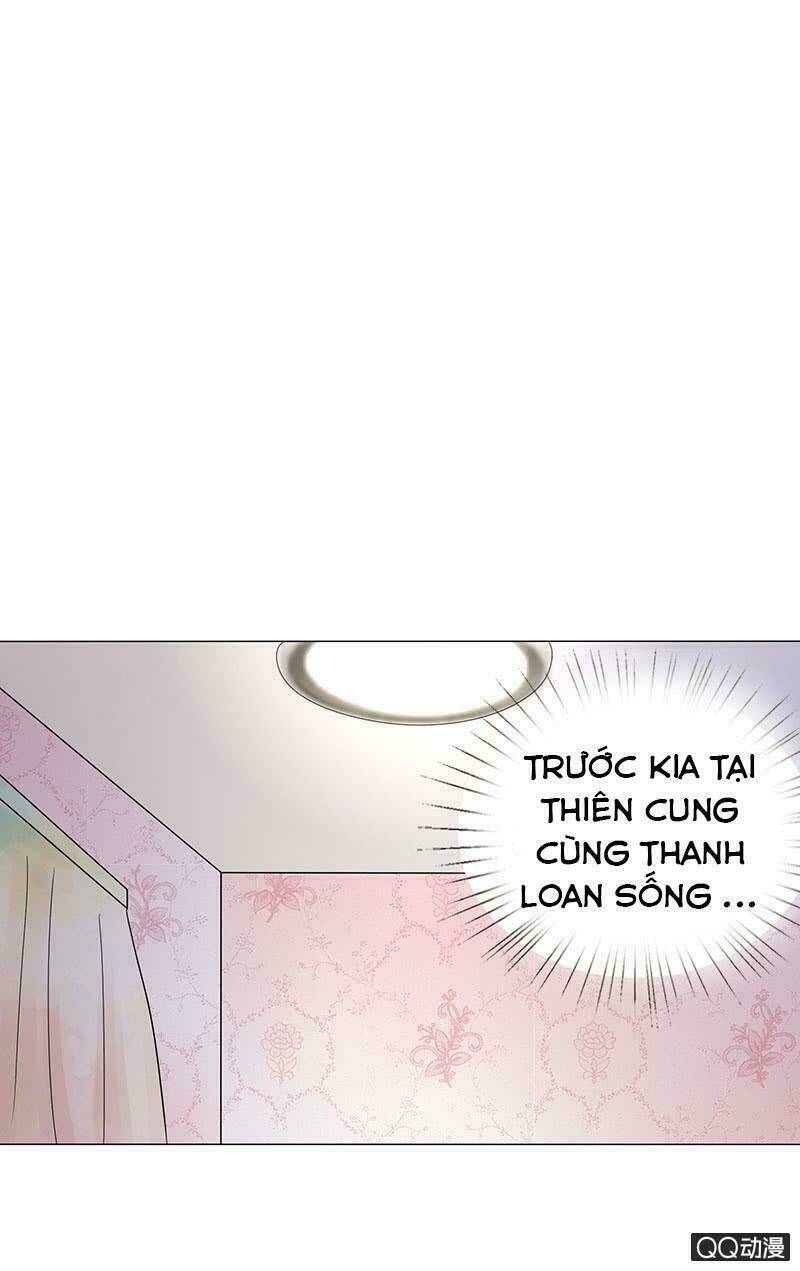 Băng Sơn Học Trưởng Không Được Chọc: Chapter 30.2