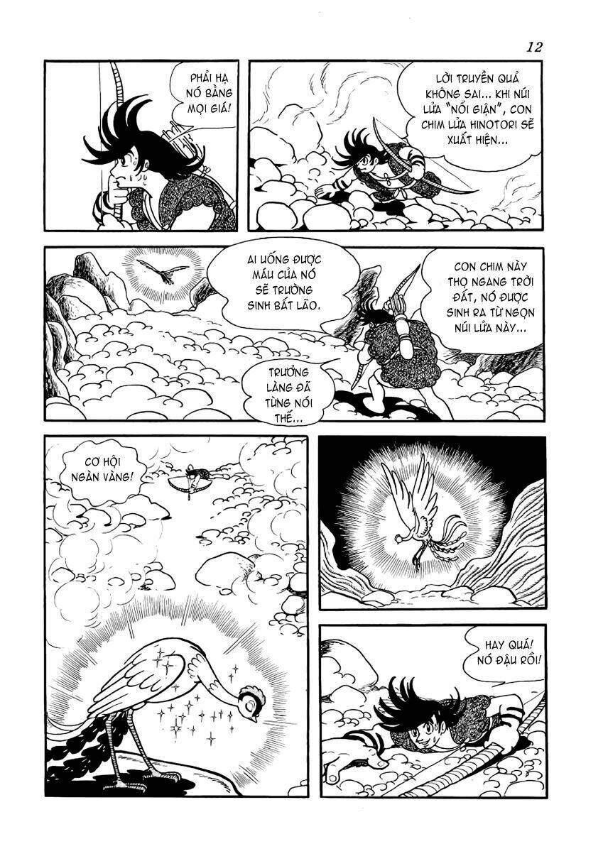 Chim Lửa: Chapter 1