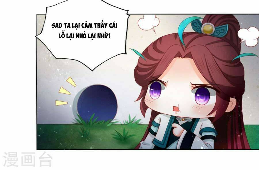 Nam Phi Nữ Tướng: Chapter 10