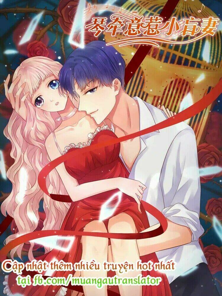 Cô Vợ Nhỏ Bị Mù Của Hàn Thiếu: Chapter 1