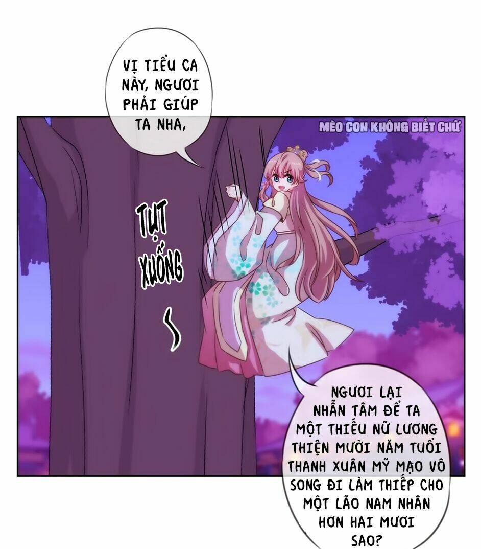 Ồ, Sủng Phi Đại Nhân Của Ta: Chapter 7